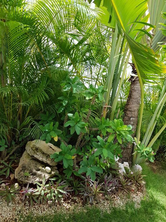 Bayahibe Guest House Hotel Екстер'єр фото